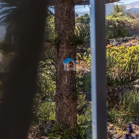 Casa Lupe بيت للعطل Santa Úrsula