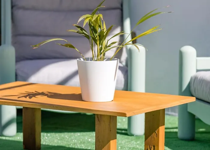 Casa Lupe * סנטה אורסולה