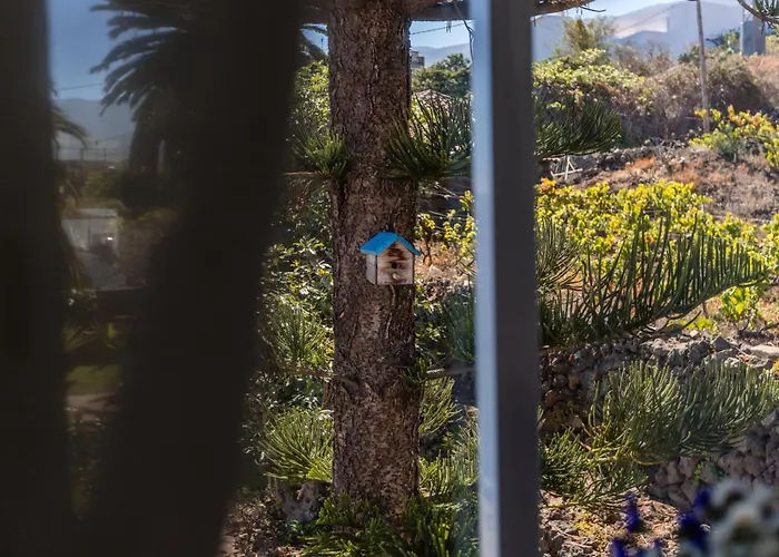 Casa Lupe בית נופש סנטה אורסולה